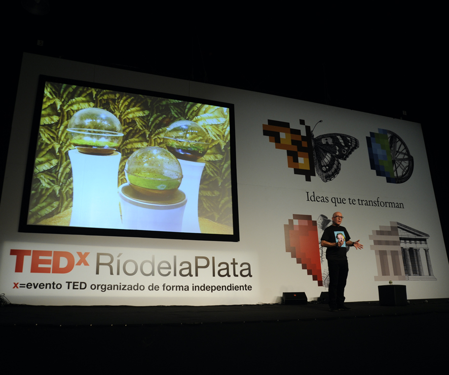 TEDx 2011 mem branding